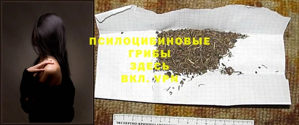 винт Арсеньев