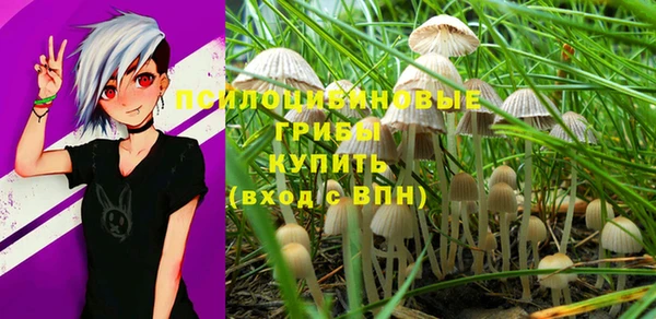 винт Арсеньев