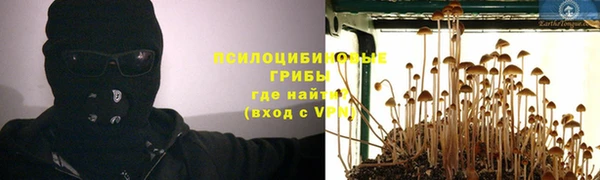 гашик Армянск